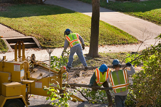 Mulching Services in Singac, NJ